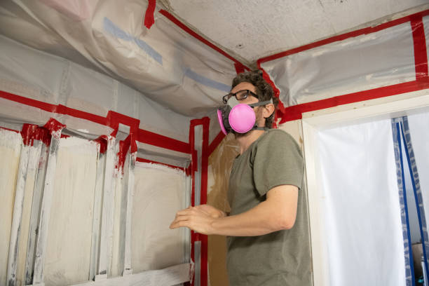 Best Attic Mold Removal  in Mullins, SC